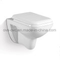 Foshan Sanitary Ware Russia Wc Toilet Bowl